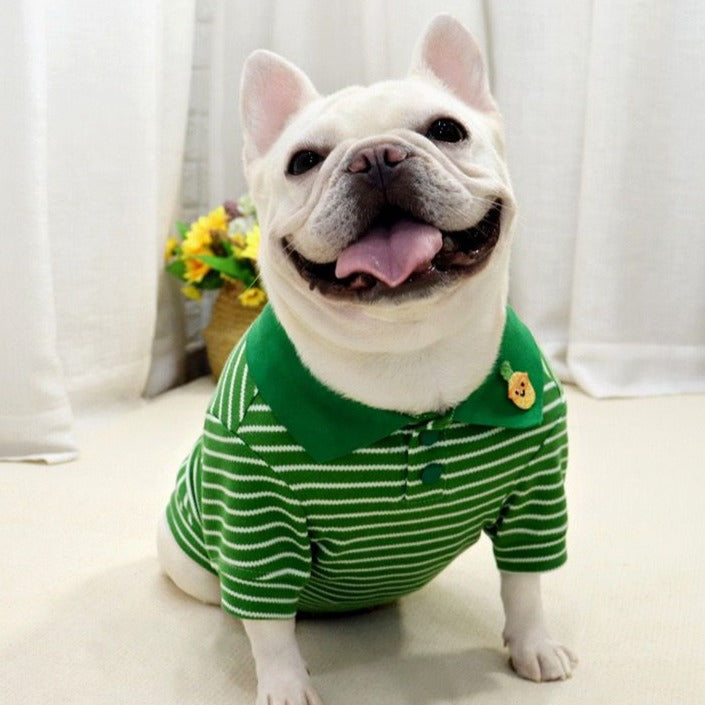 dog winter green stripe sweater