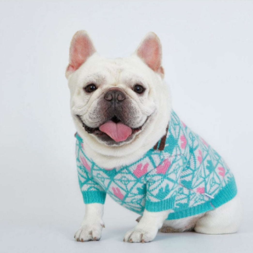 dog green pullover sweater for medium dogs by Frenchiely 