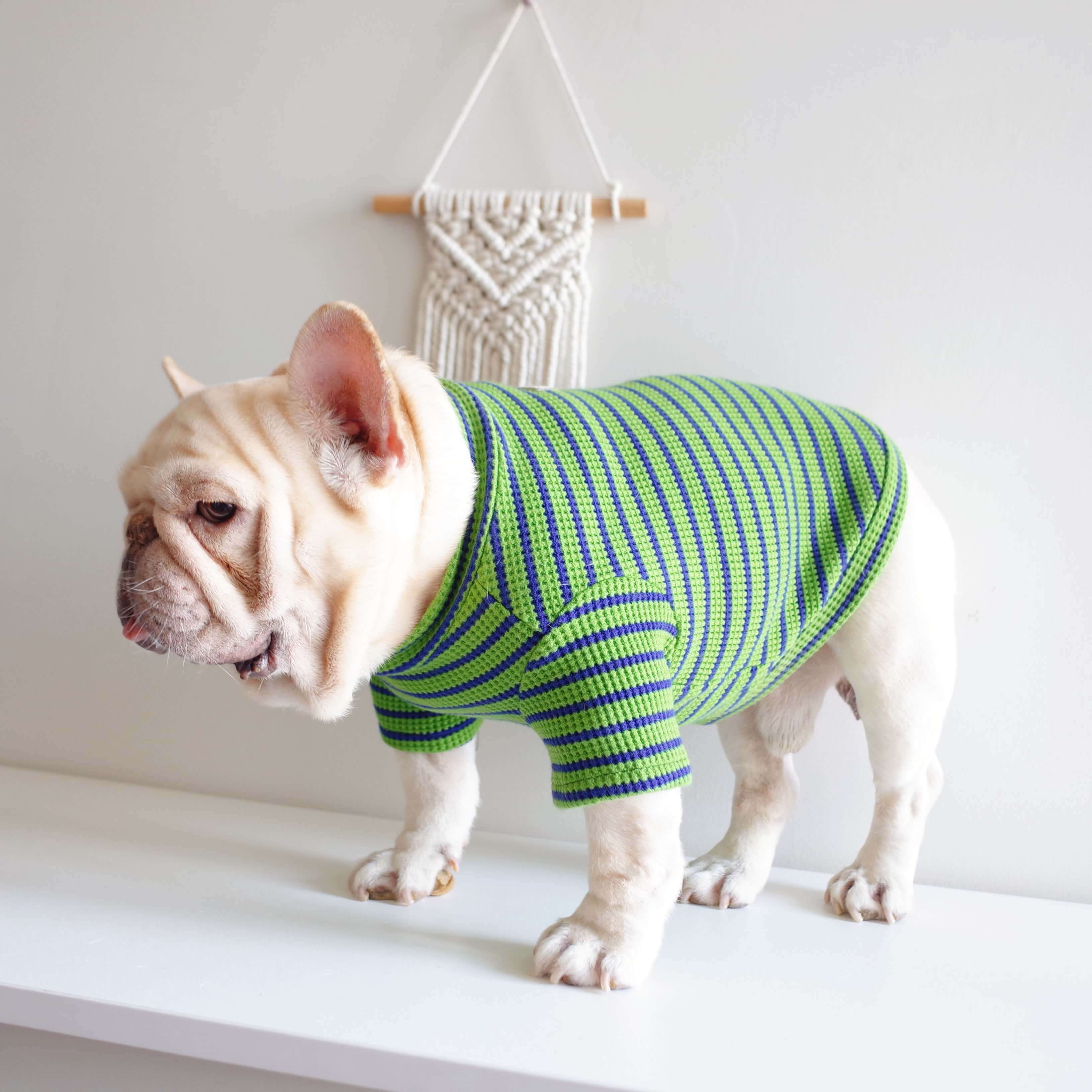 dog green stripe sweater for small medium dogs