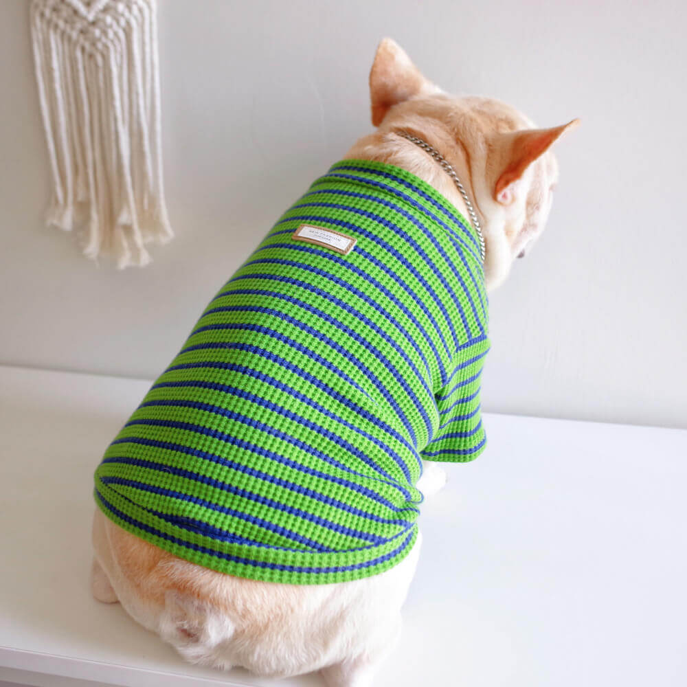 dog classic shirt for medium dog breeds