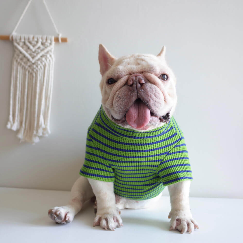 dog sweater shirt pullover for medium dogs