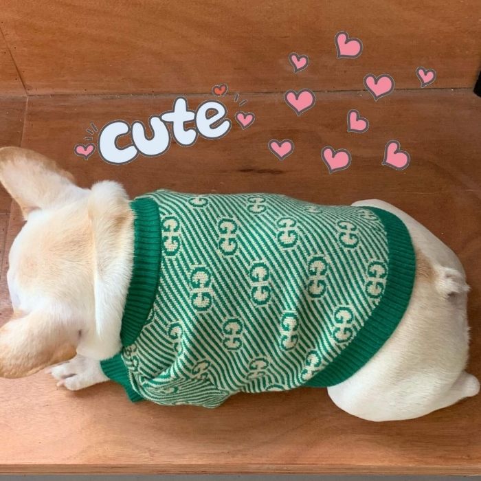 Dog Stylish Green Pullover Sweater for Small Medium Dogs BY Frenchiely 