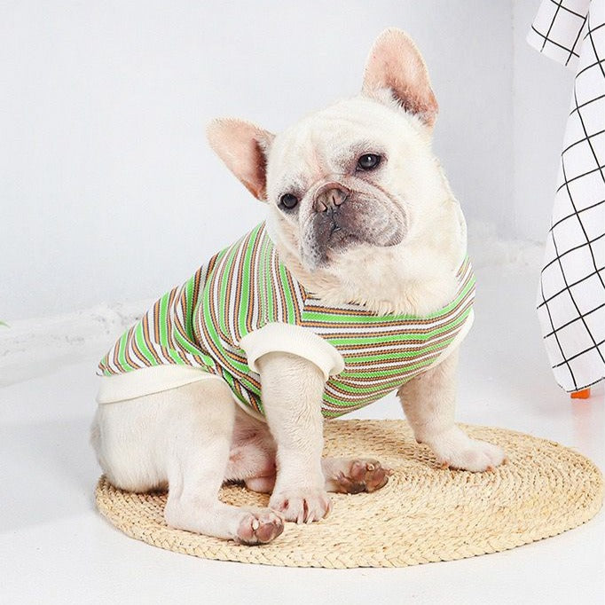 Frenchiely dog green striped hoodie