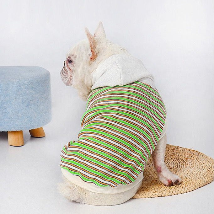 Frenchiely dog sweatshirt for medium dogs 