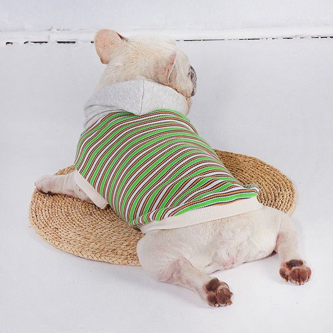 French bulldog stripe hoodie coat