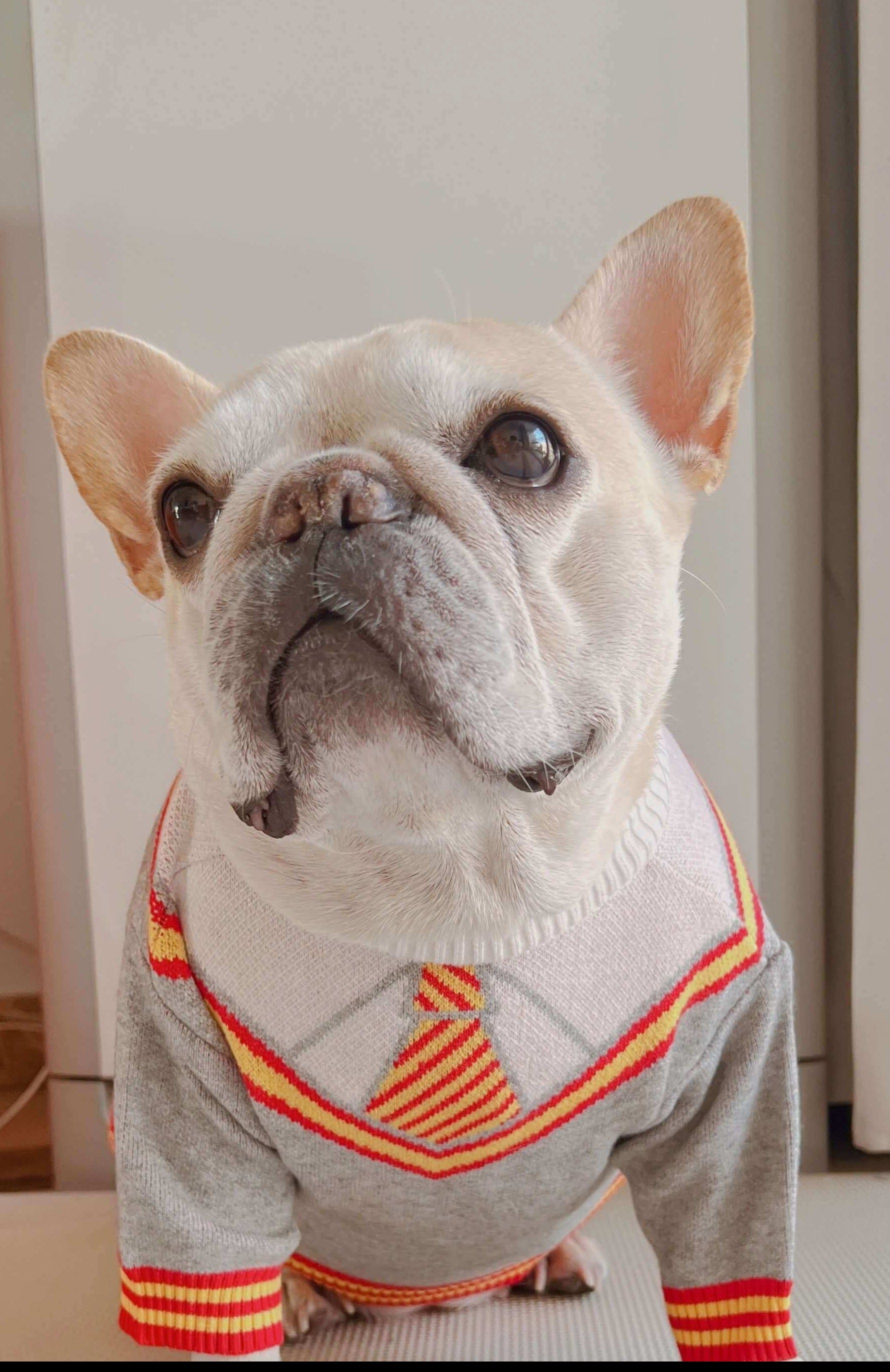 dog grey pullover sweater with faux two piece necktie by Frenchiely 