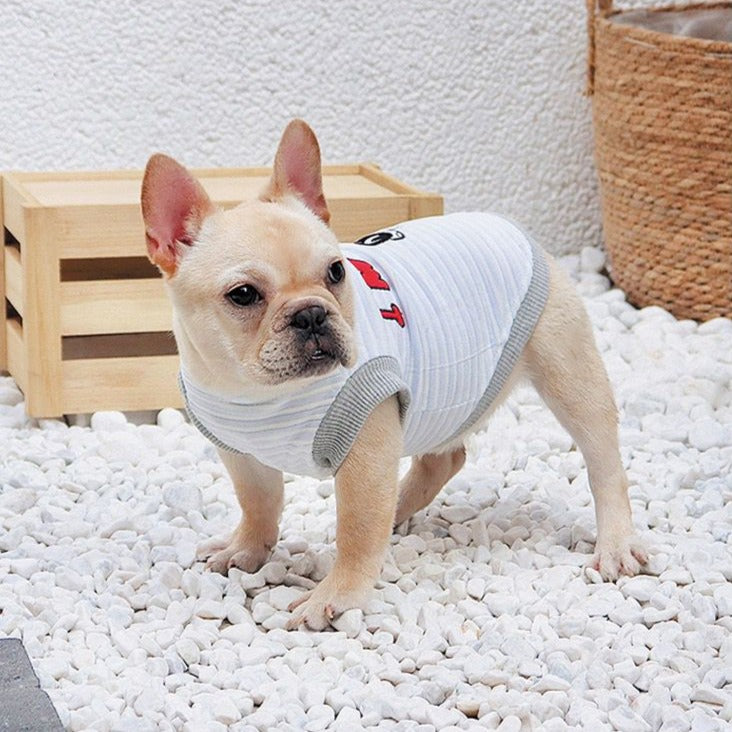 puppy shirts for small medium dog breeds