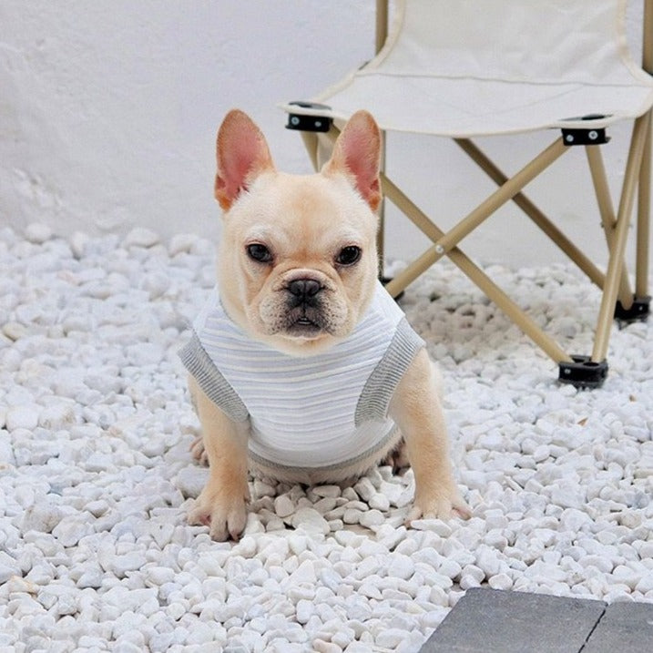 french bulldog puppy shirts