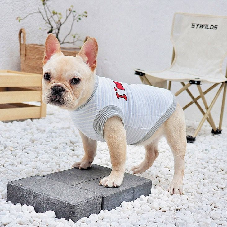 french bulldog puppy shirt for small medium dogs