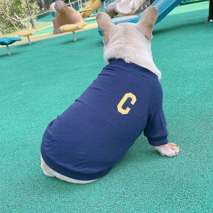 Dog Human Matching Sweatshirt - Frenchiely