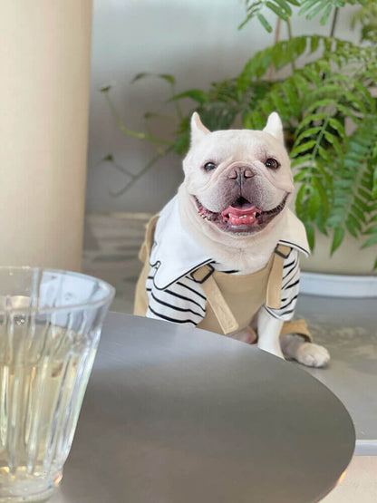 Dog Khaki Overalls with Pocket