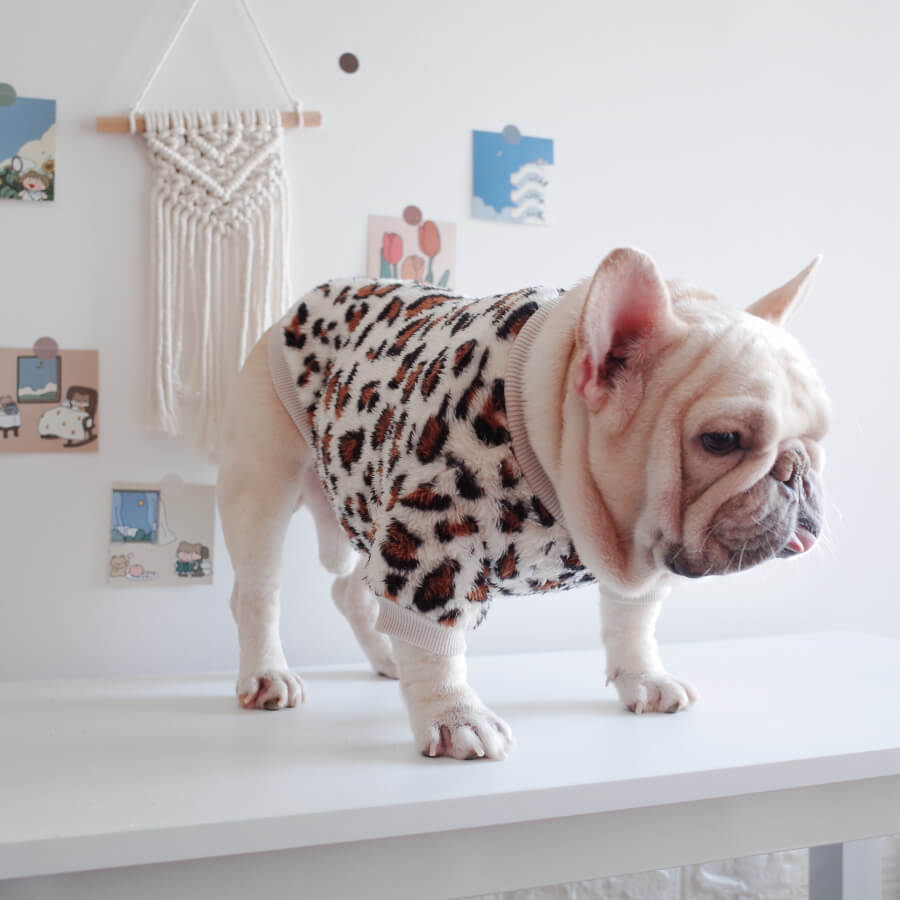 dog leopard pullover sweatshirt for medium dogs by Frenchiely 