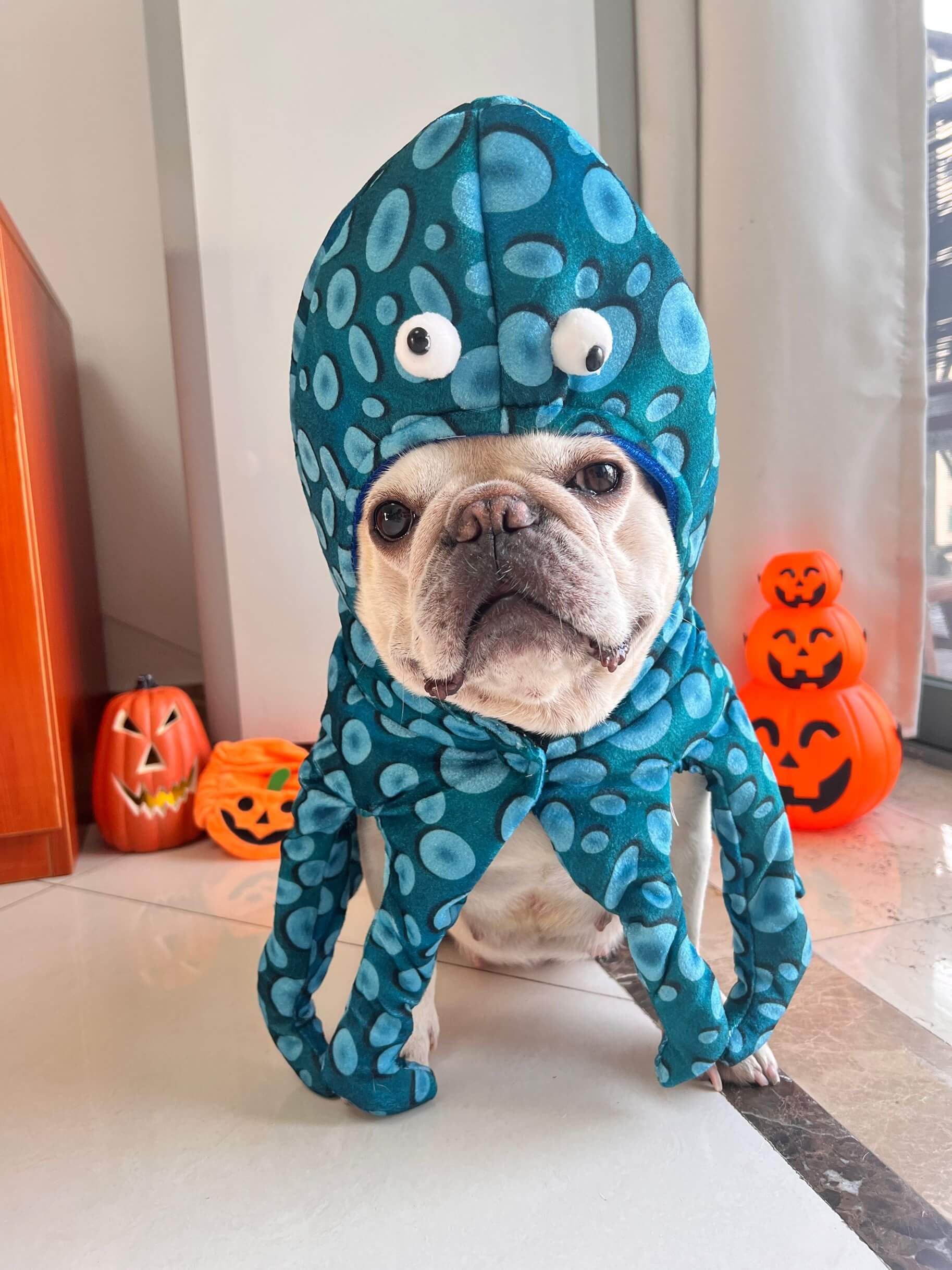 dog octopus costume Dog Halloween Costume Store Free Shipping