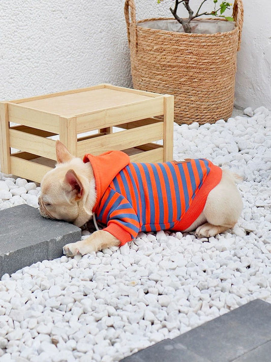 Dog Striped Sweatshirt Hoodie for medium dogs by Frenchiely