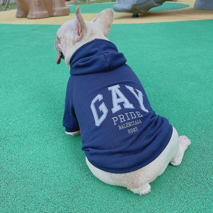 Dog Human Matching Hoodie Sweatshirt Clothes by Frenchiely.com