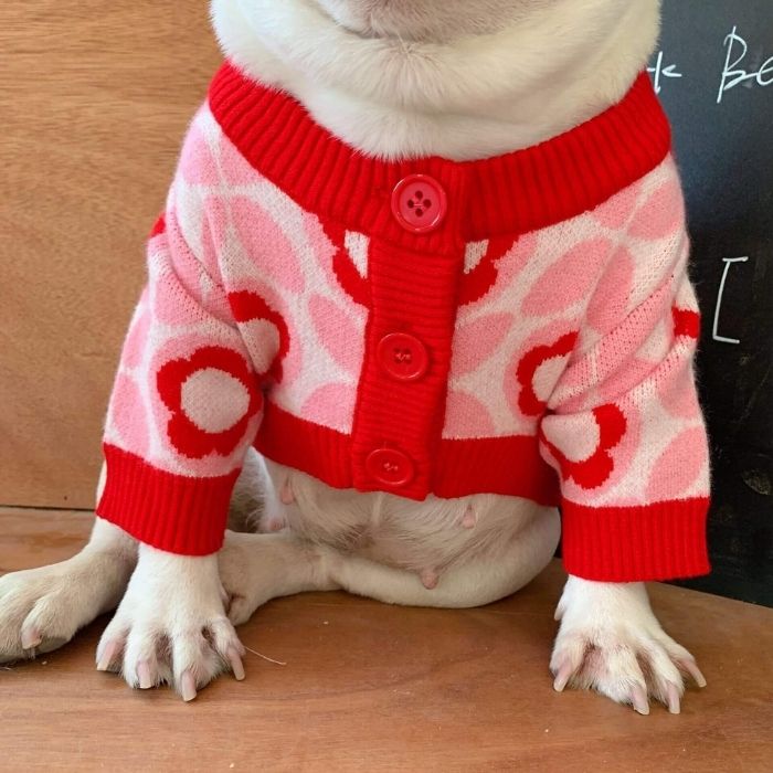 Dog Stylish Red Floral Pullover Sweater - Frenchiely