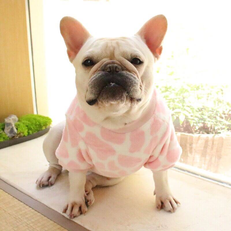 Dog Pink Leopard Pullover Sweater FOR MEDIUM DOGS BY FRENCHIELY.COM