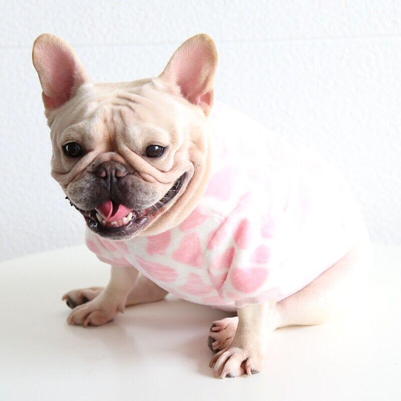 Dog Pink Leopard Pullover Sweater FOR MEDIUM DOGS BY FRENCHIELY.COM