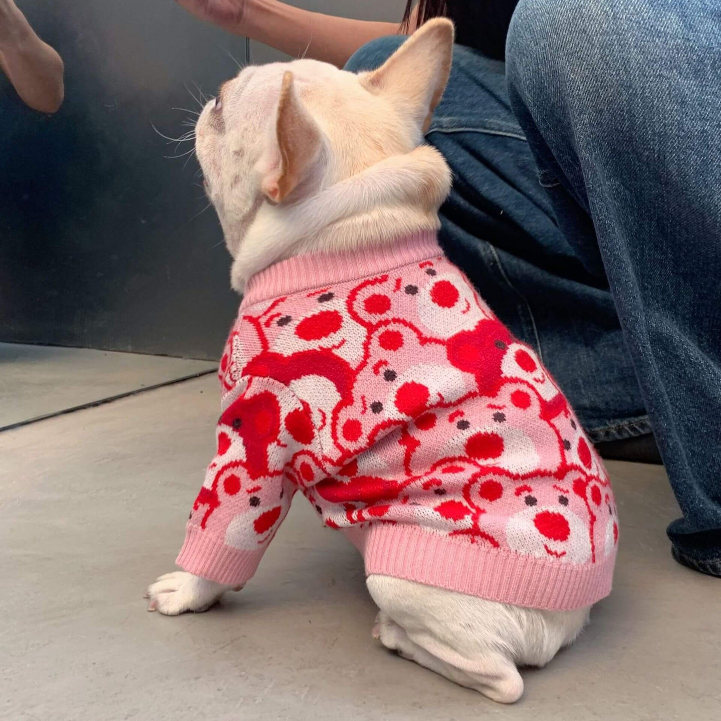 Frenchiely dog pink red sweater with bear patterns for medium dog breeds