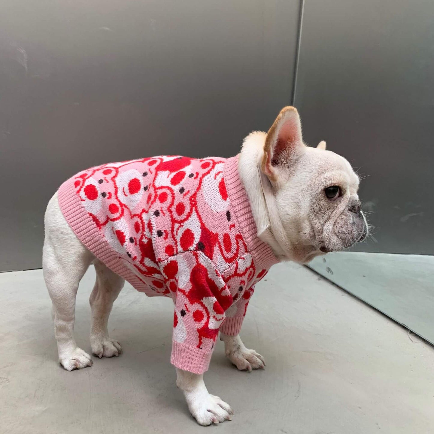 Frenchiely dog pink red sweater with bear patterns