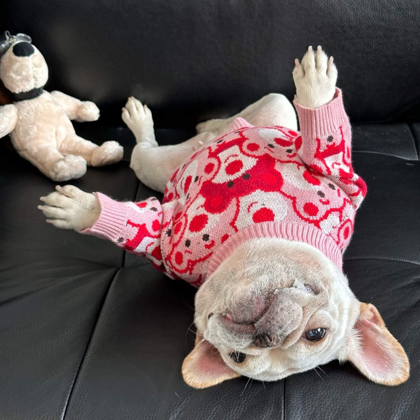 Dog pink sweater with bear patterns
