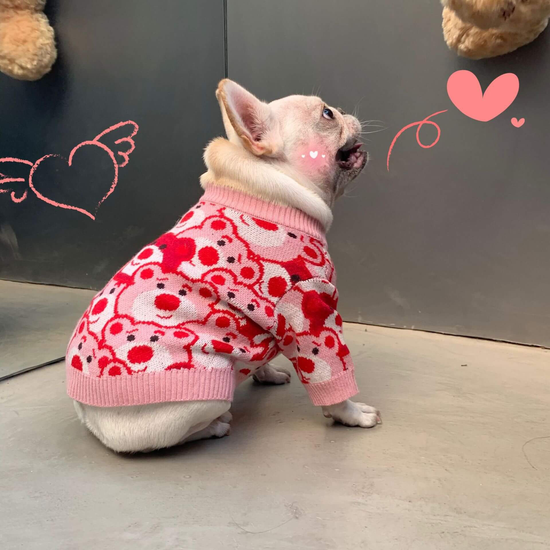 Frenchiely dog pink red sweater with bear patterns