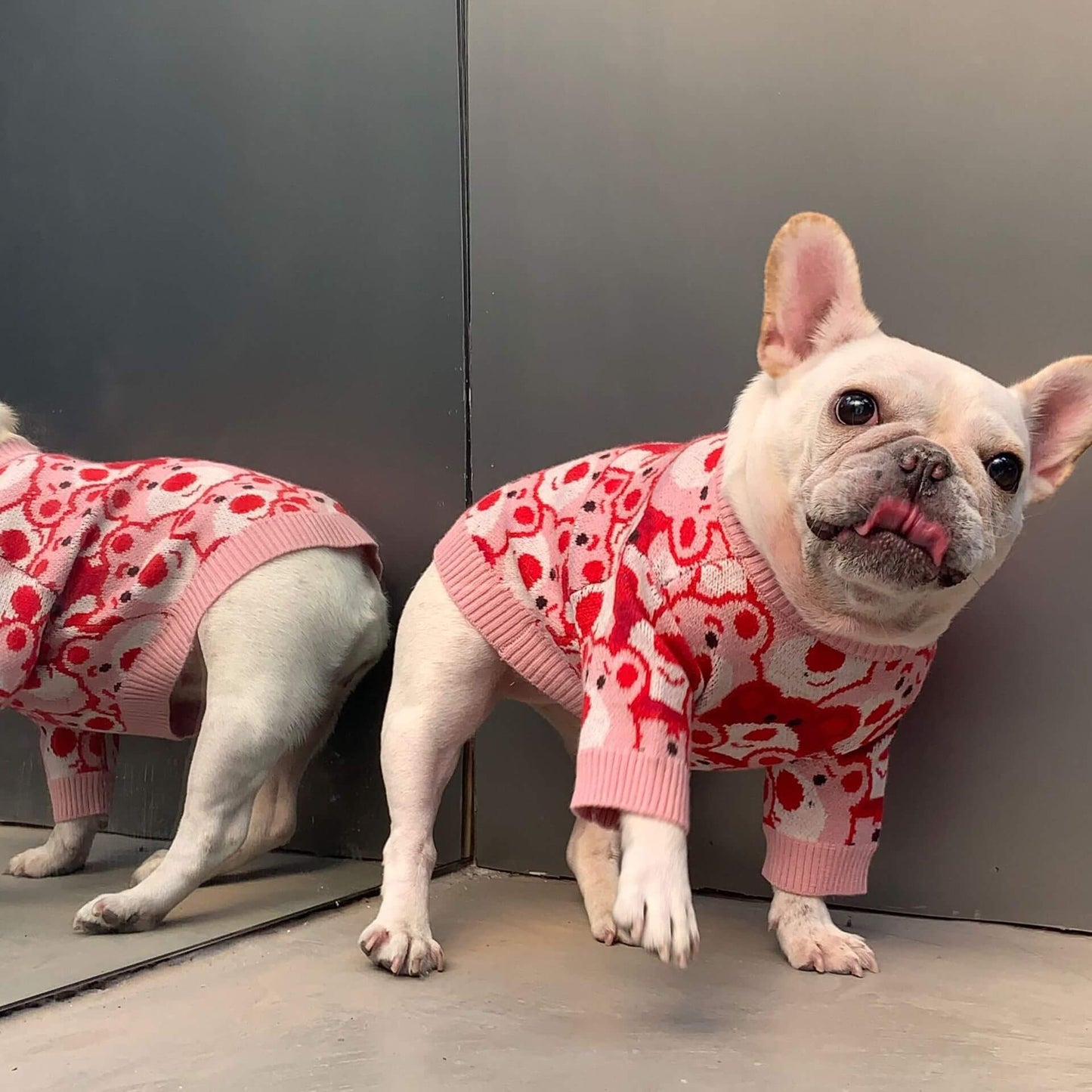 Frenchiely dog pink red sweater with bear patterns