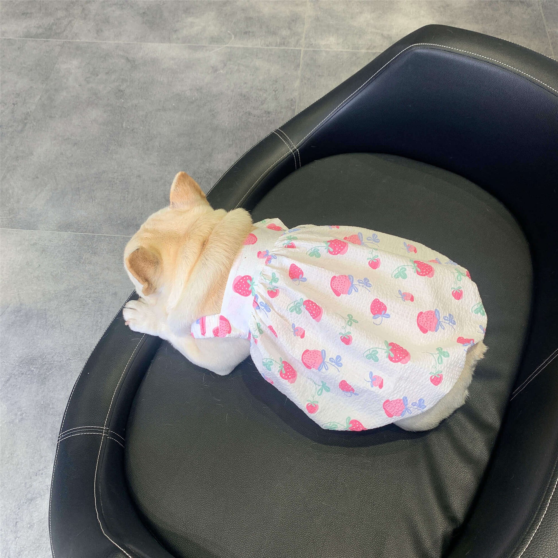 Dog Strawberry Dress FOR FRENCH BULLDOGS 