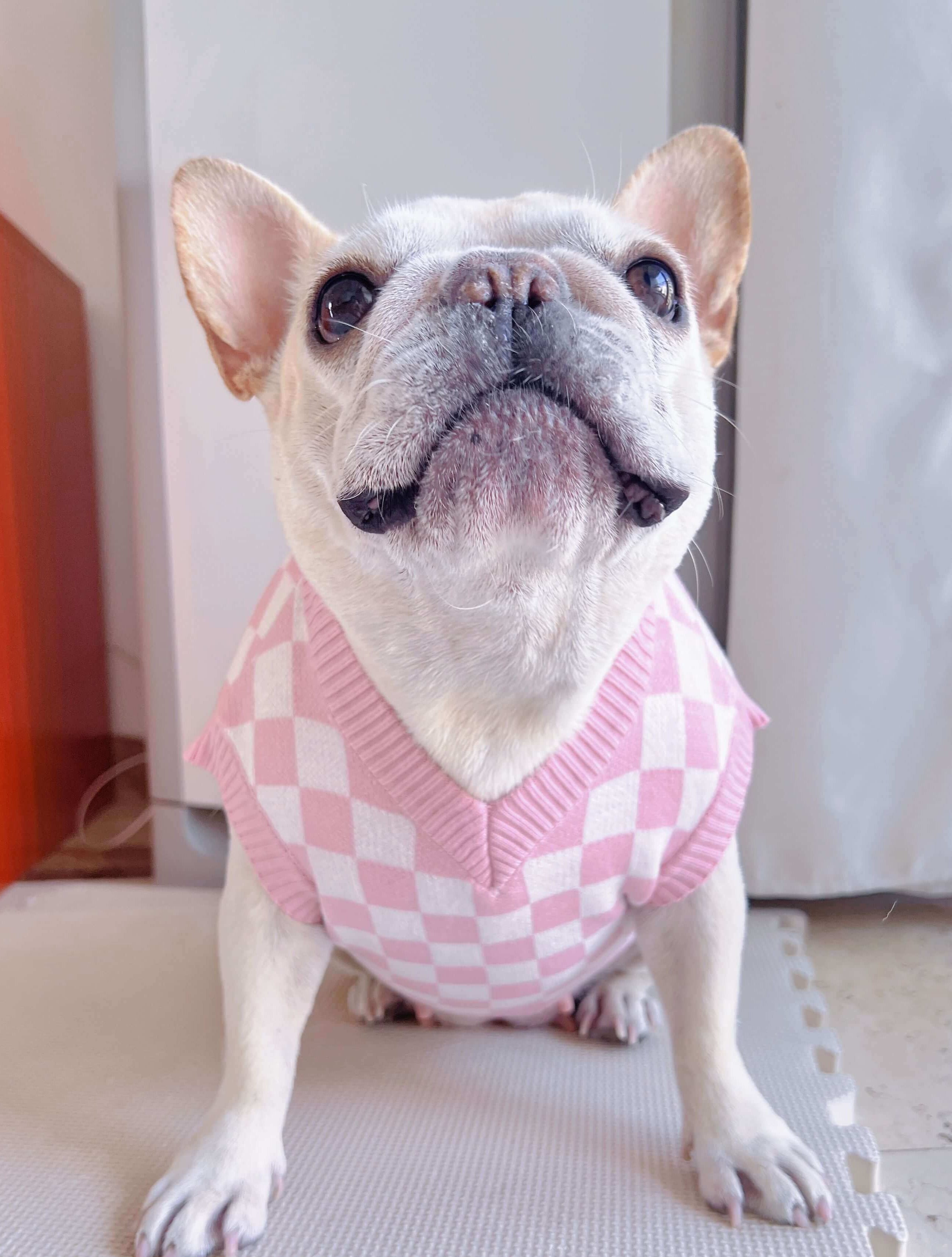 Dog pink sweater for small medium dogs by Frenchiely 