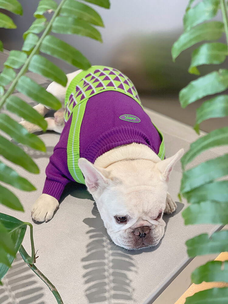 french bulldog winter sweater jumper