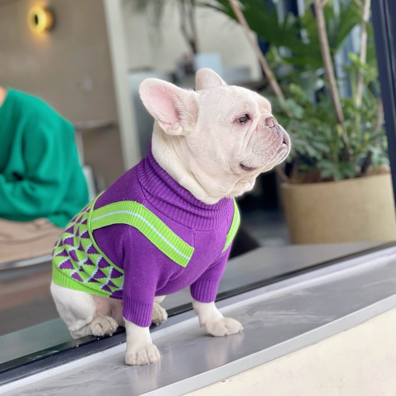 Dog Purple Turtle Neck Sweater