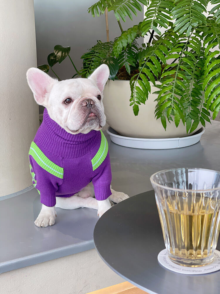 french bulldog clothing store