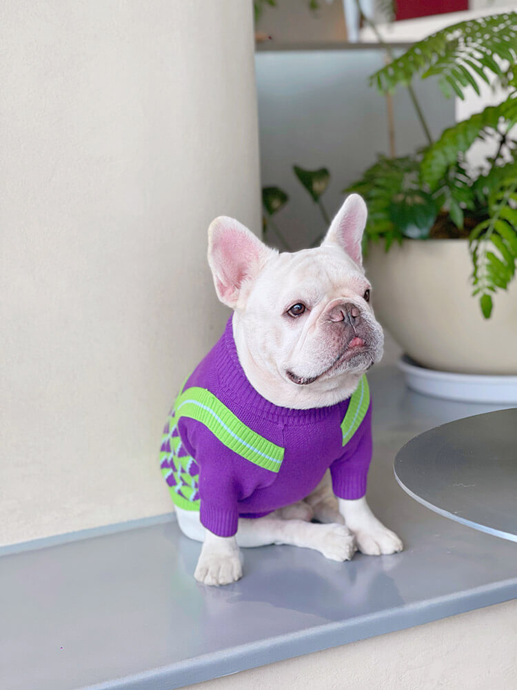 Dog Purple Turtle Neck Sweater for medium dogs