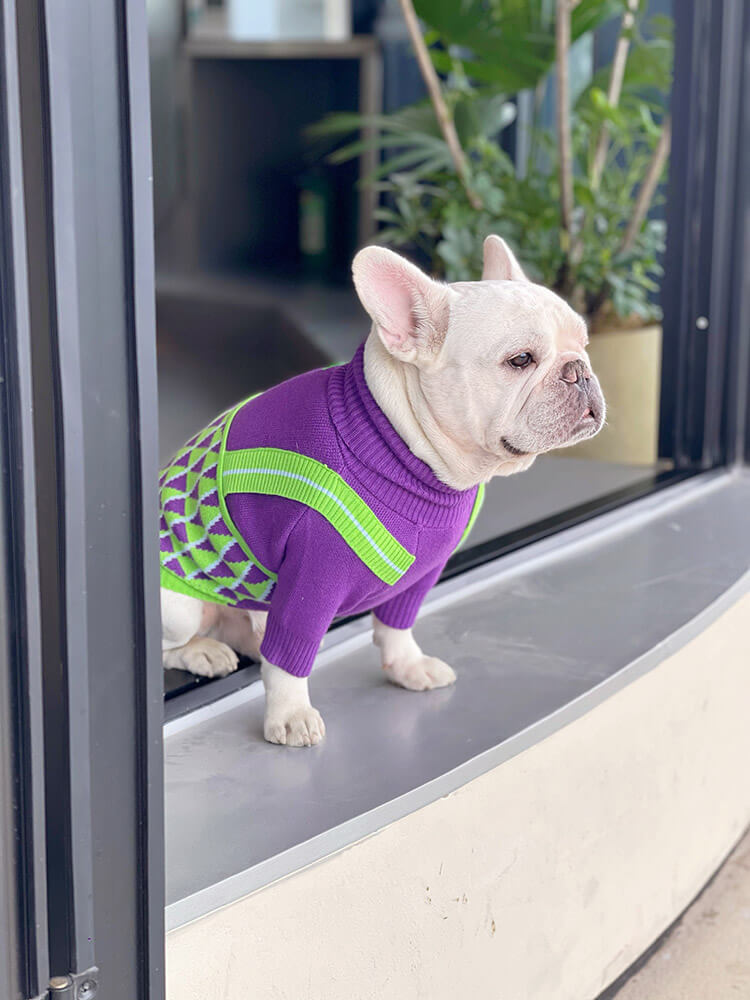 Dog Purple jumper for small medium dogs