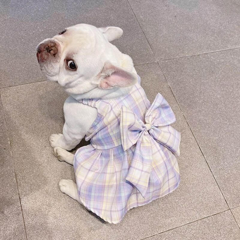 Dog Purple Plaid Bow Tie Dress for French Bulldogs by Frenchiely 