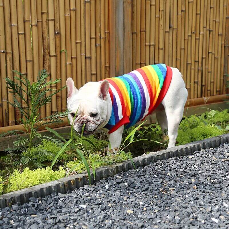 Dog Rainbow Shirts Sweater - Frenchiely