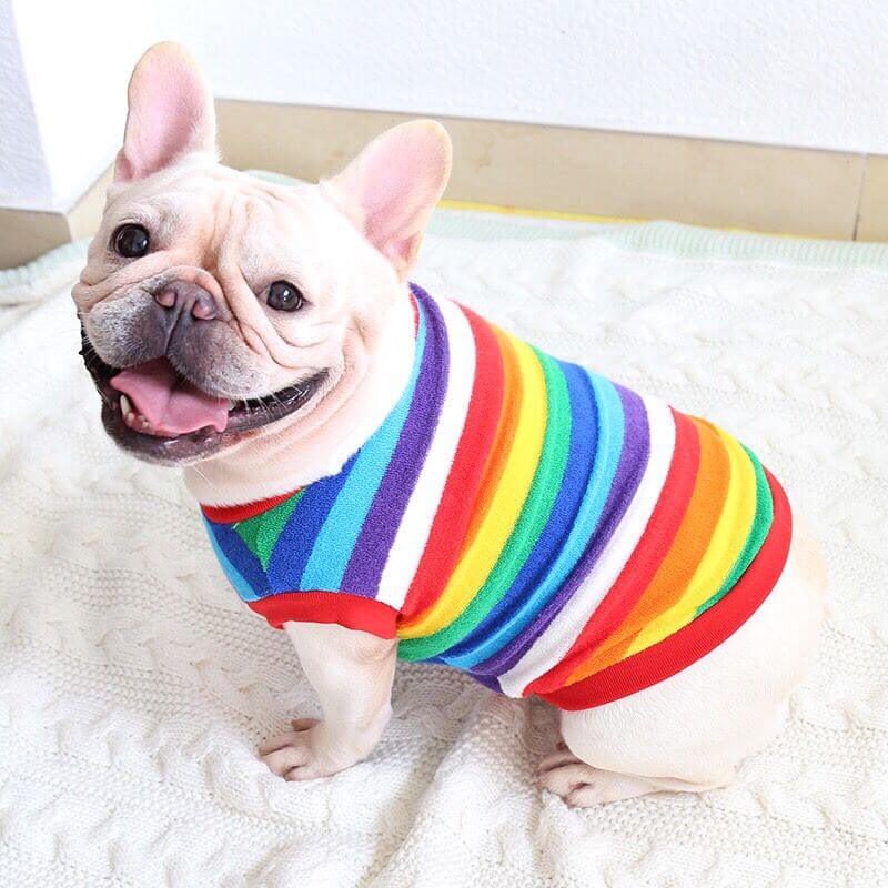 Dog Rainbow Striped Shirts Sweater for Frenchies BY FRENCHIELY 