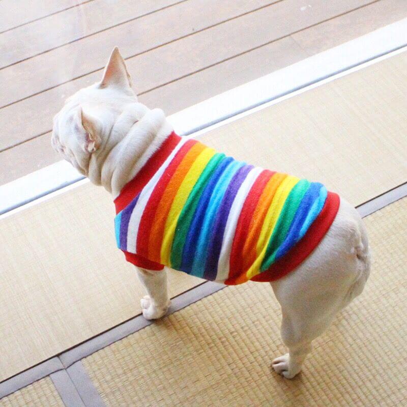 Dog Rainbow Striped Shirts Sweater for Frenchies BY FRENCHIELY 