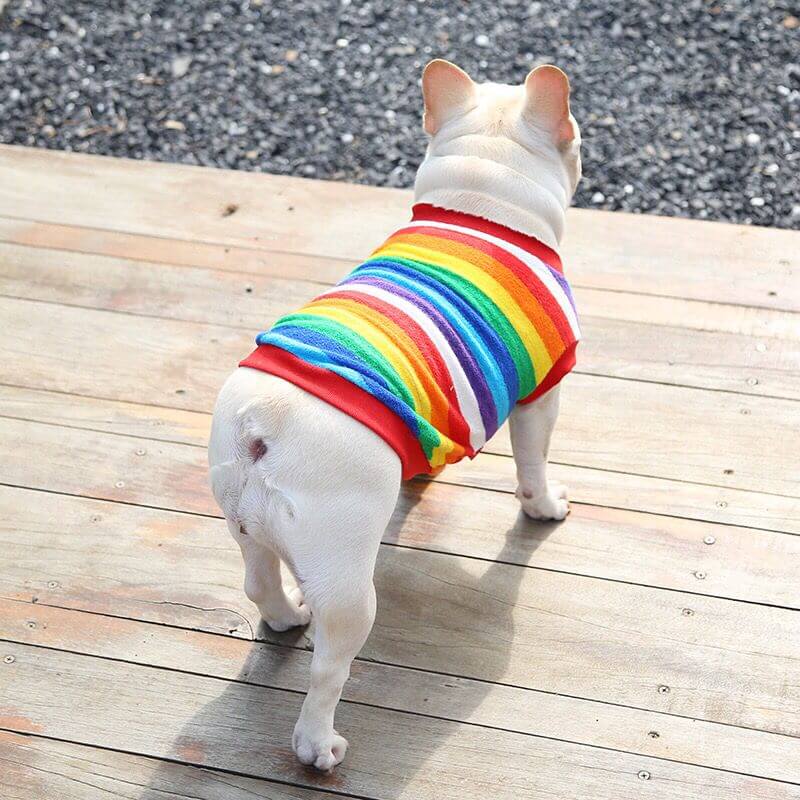 Dog Rainbow Striped Shirts Sweater for Frenchies BY FRENCHIELY 