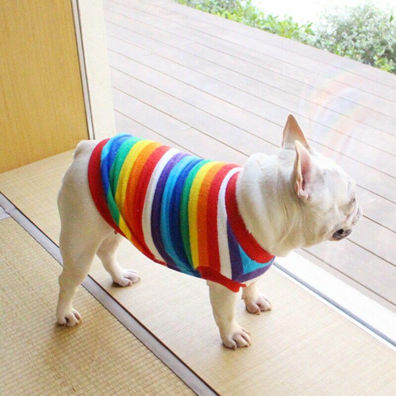 Dog Rainbow Striped Shirts Sweater for Frenchies BY FRENCHIELY 