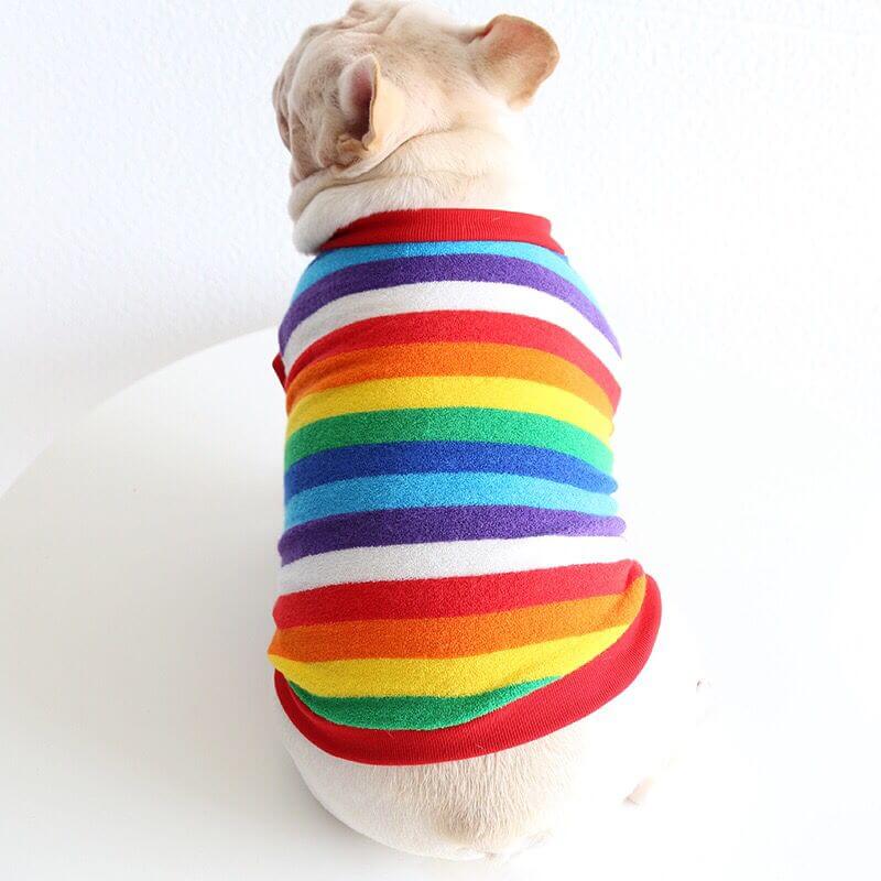 Dog Rainbow Striped Shirts Sweater for Frenchies BY FRENCHIELY 