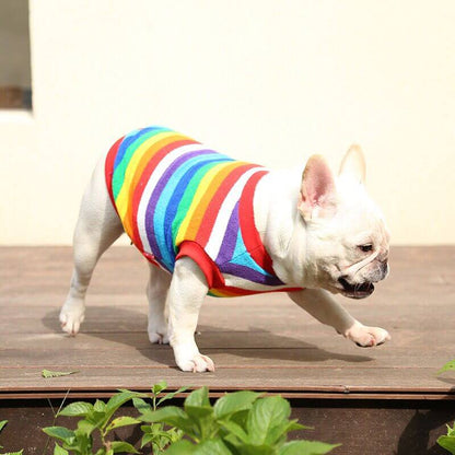 Dog Rainbow Striped Shirts Sweater for Frenchies BY FRENCHIELY 