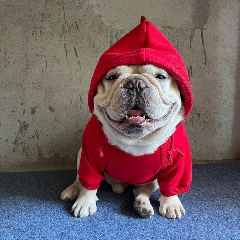 dog dinosuars costume hoodie for small medium dogs