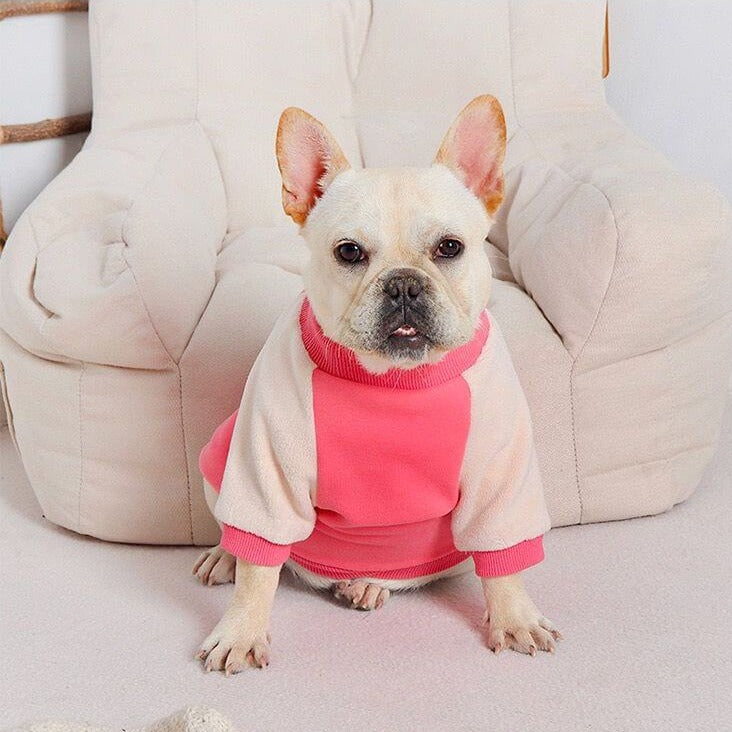 small medium dog winter clothes sweater