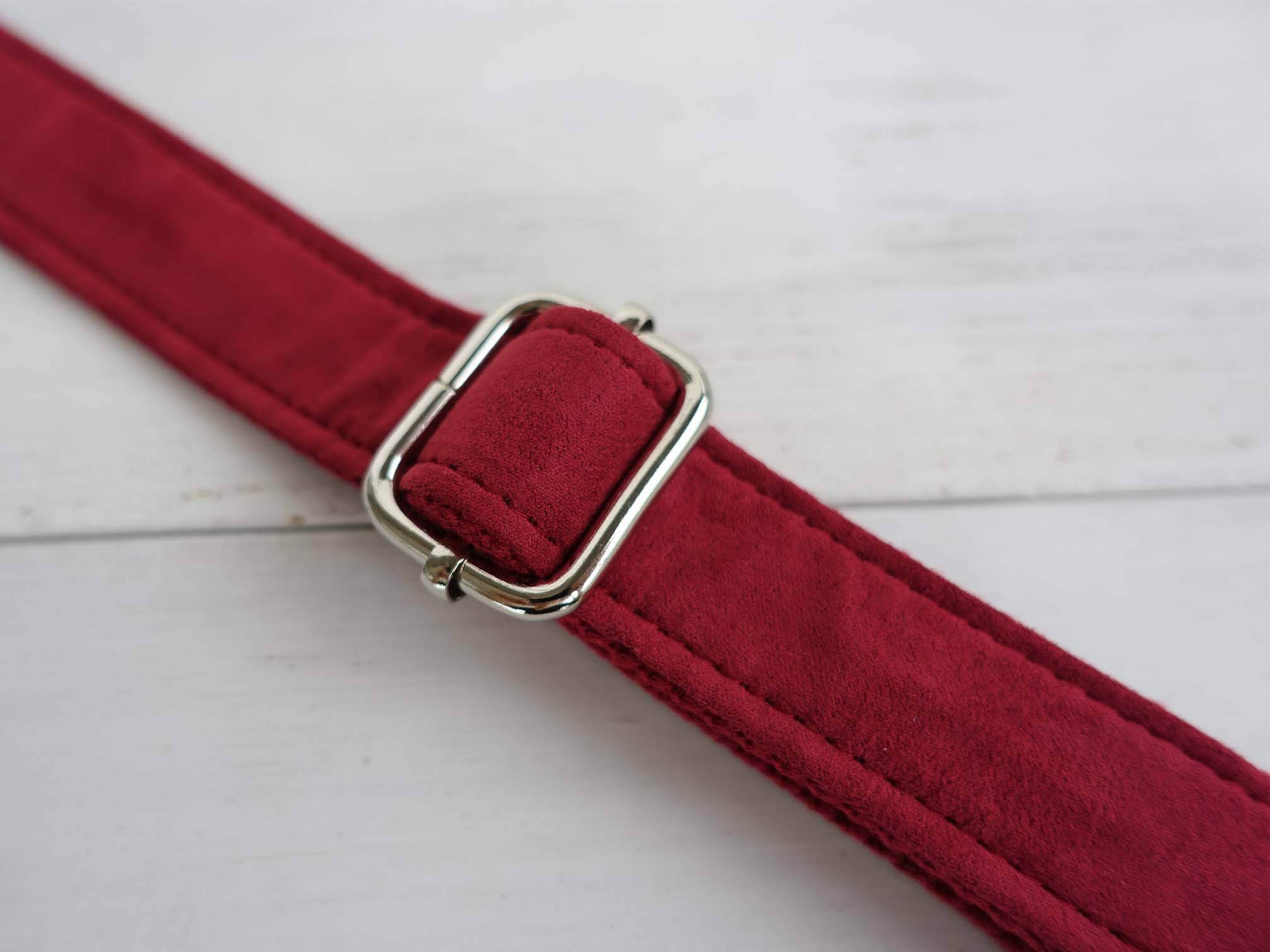 dog red velvet collar christmas with golden tag  by SpoiledBella.com