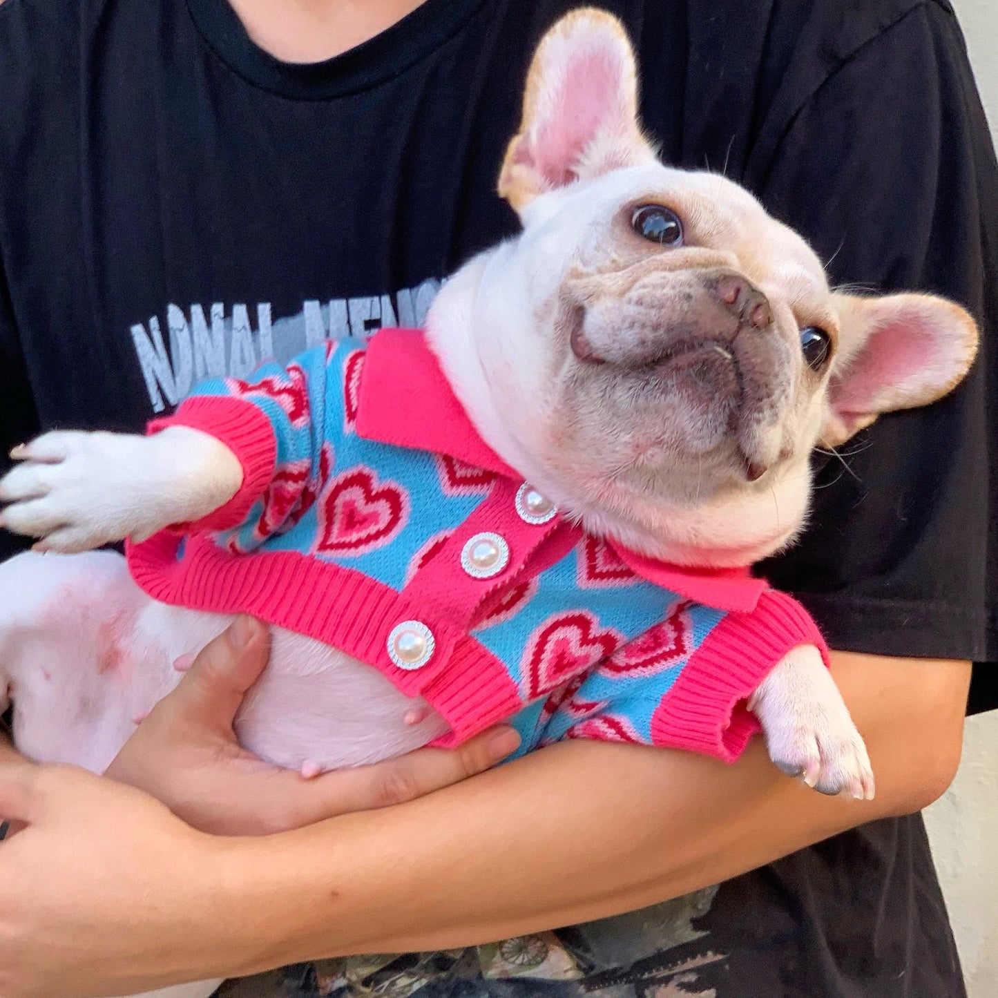 dog sweater custom