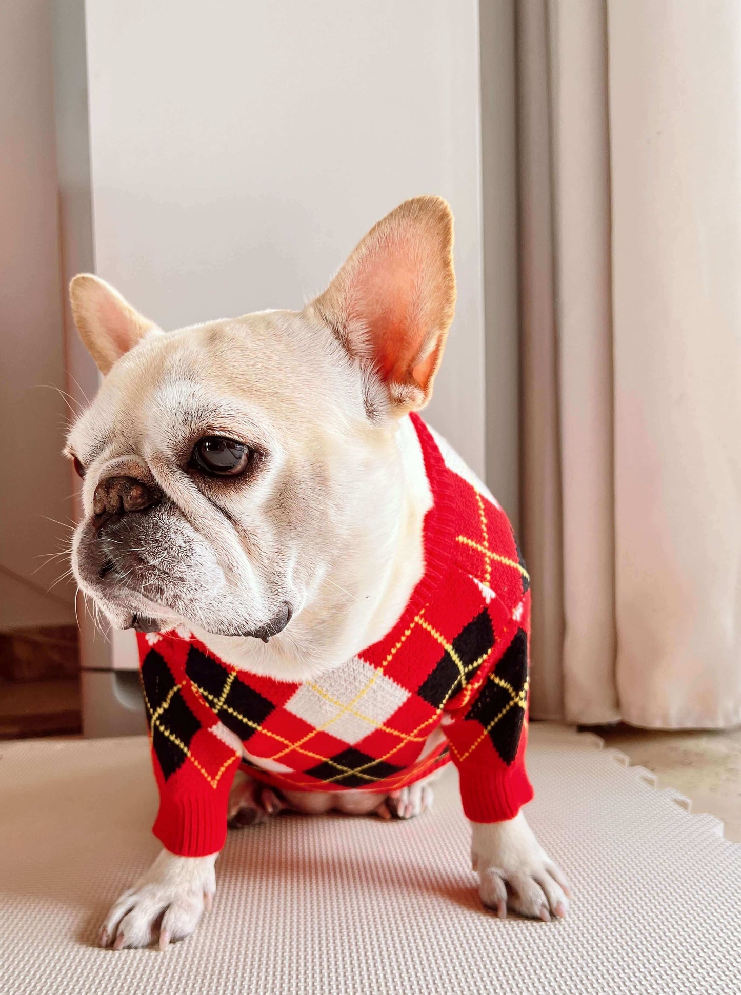 dog black and red pullover cardigans by Frenchiely