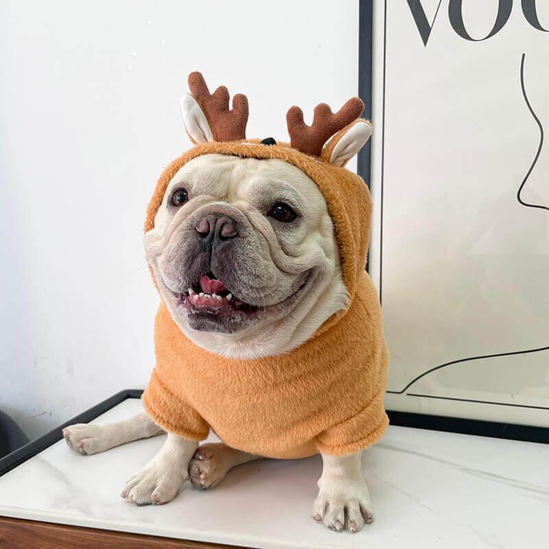 dog Christmas clothes reindeer costume 
