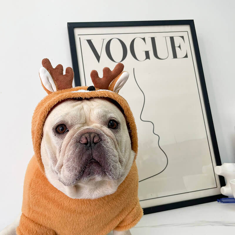 small medium dog Christmas clothes reindeer costume 