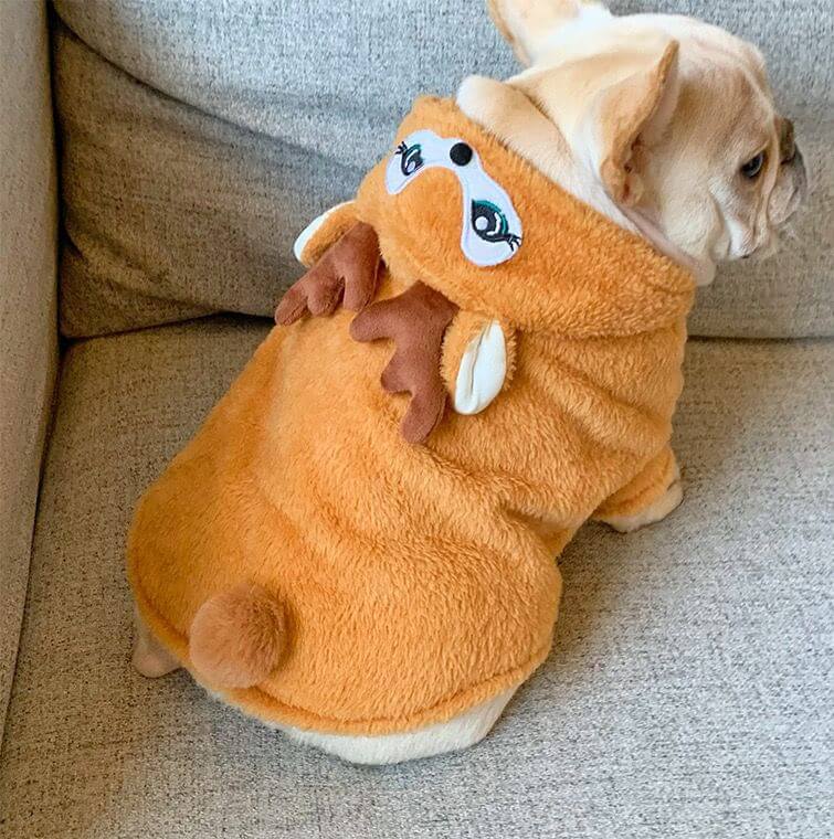 dog halloween costume for small medium dogs 